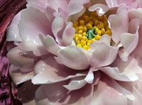 新聞｜我公司當(dāng)選河南省人民對(duì)外友好協(xié)會(huì)理事單位，創(chuàng)始人李治國(guó)當(dāng)選理事并接受河南日?qǐng)?bào)與河南衛(wèi)視的采訪(fǎng)。