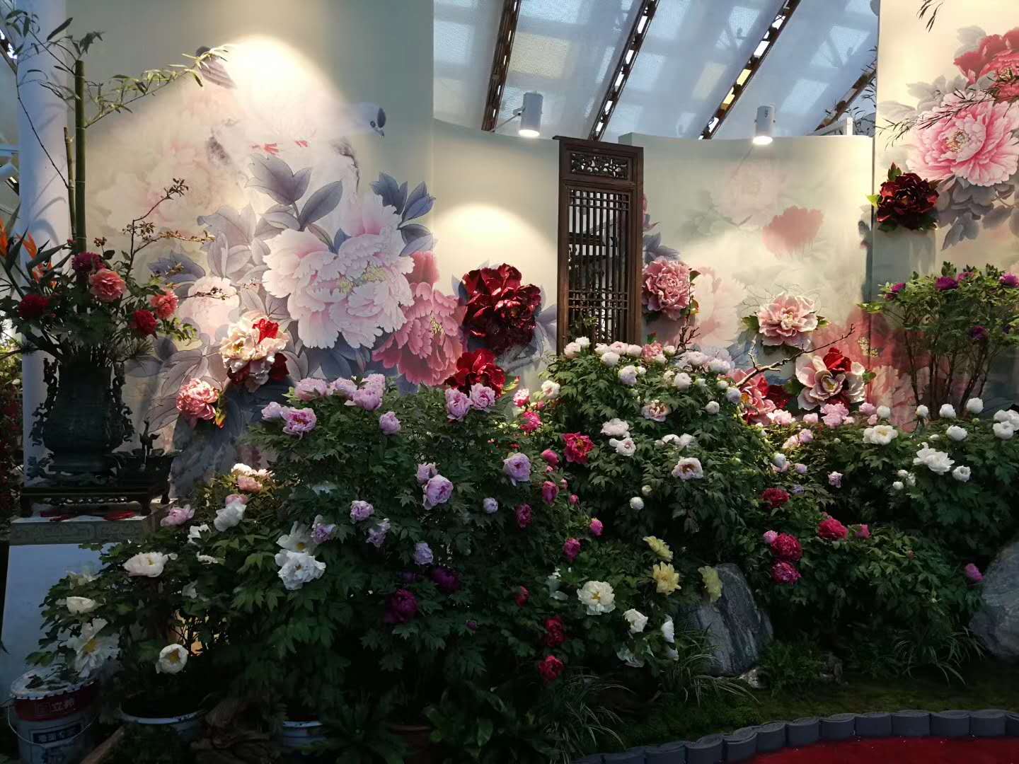 1556586924599221.jpg 微信圖片_20190429210132.jpg