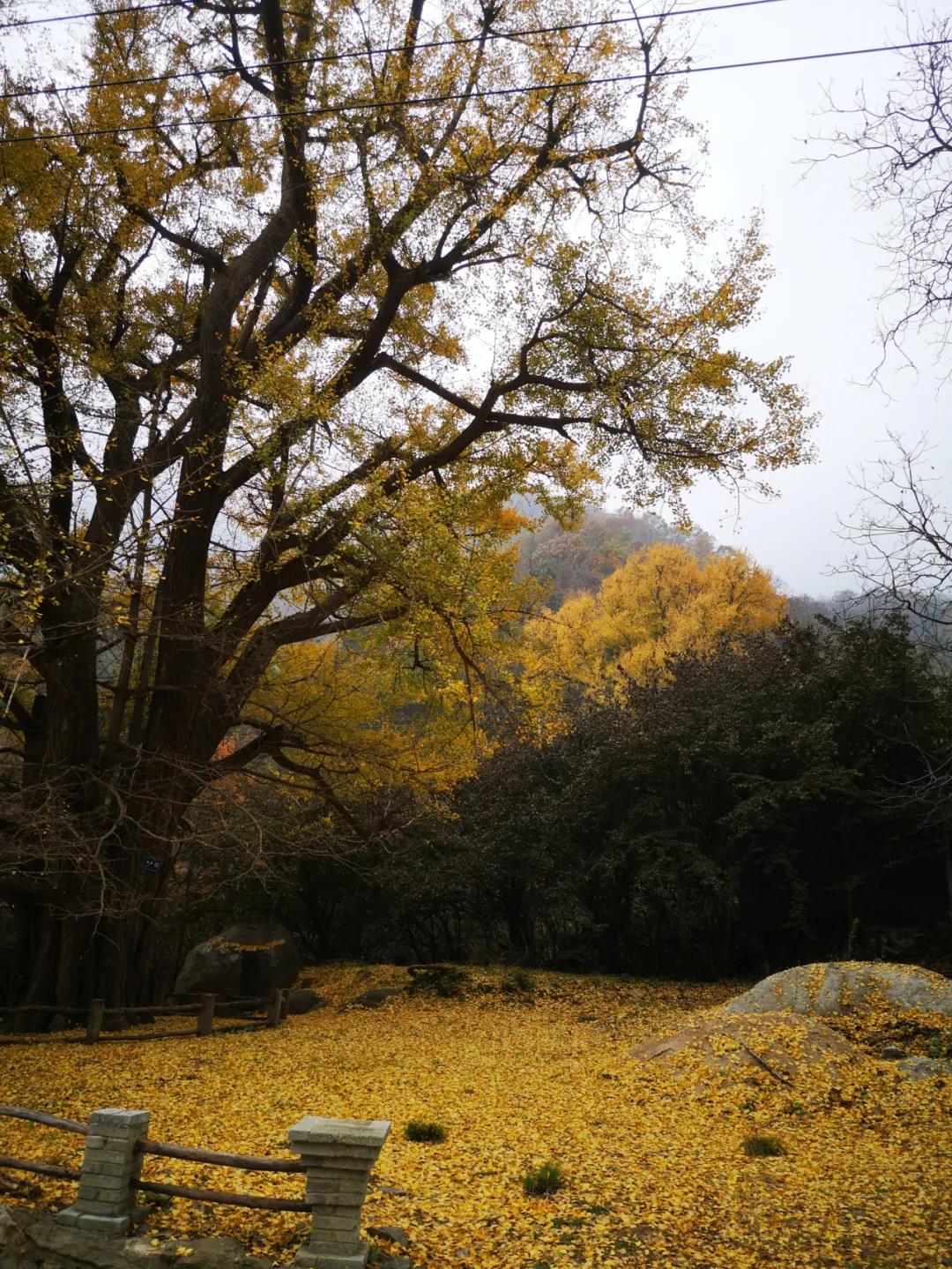 1618707097459061.jpg 微信圖片_20210418084639.jpg