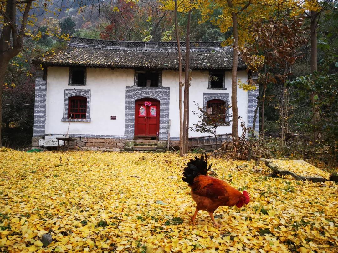 1618707170104459.jpg 微信圖片_20210418084658.jpg